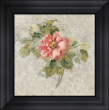 Framed Provence Rose II Red and Neutral Print
