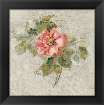 Framed Provence Rose II Red and Neutral Print