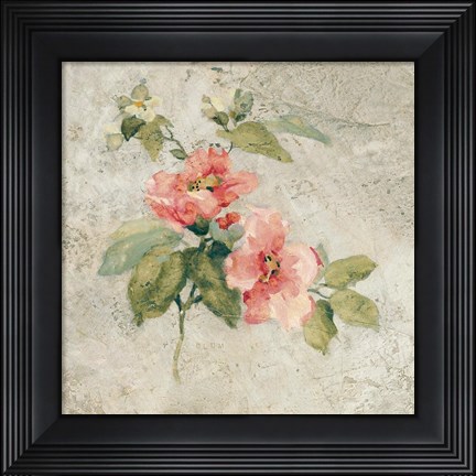 Framed Provence Rose I Red and Neutral Print