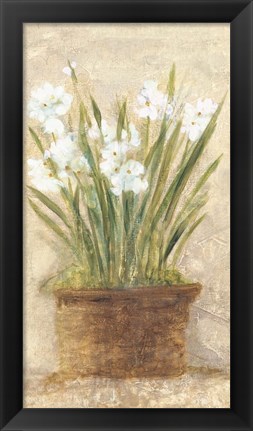 Framed Garden White Narcissus Panel Print