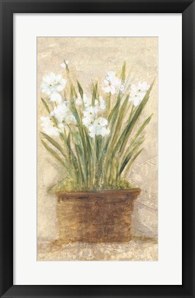 Framed Garden White Narcissus Panel Print