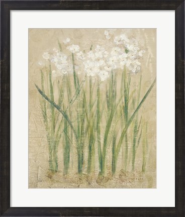 Framed Narcissus Cool Print