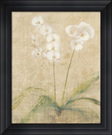 Framed Orchid Cool Print