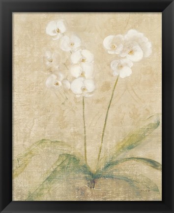 Framed Orchid Cool Print