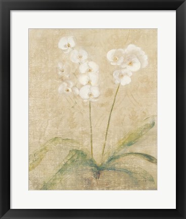 Framed Orchid Cool Print