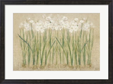 Framed Narcissus Row Cool Print