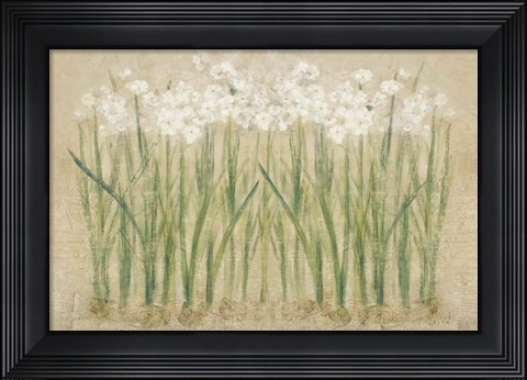 Framed Narcissus Row Cool Print
