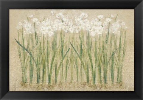 Framed Narcissus Row Cool Print