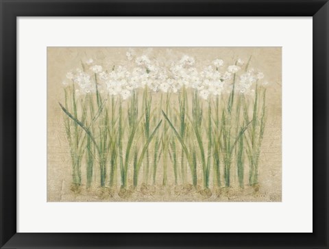 Framed Narcissus Row Cool Print