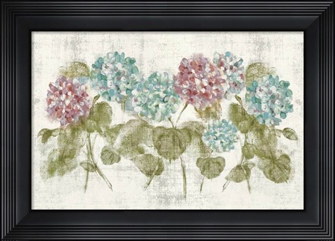 Framed Vibrant Row of Hydrangea No Border Print