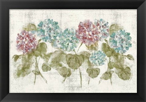 Framed Vibrant Row of Hydrangea No Border Print