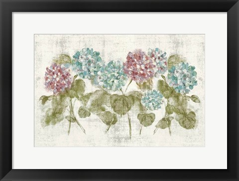 Framed Vibrant Row of Hydrangea No Border Print