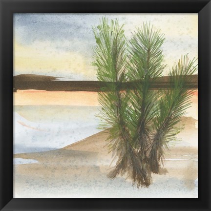 Framed Desert Yucca Print