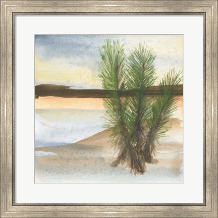 Framed Desert Yucca Print