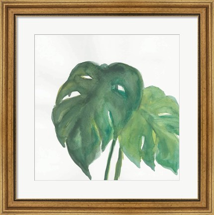 Framed Tropical Palm II Print