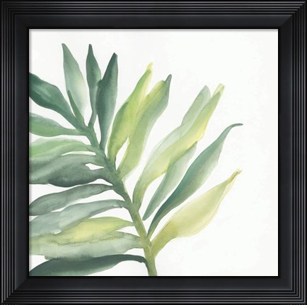 Framed Tropical Palm III Print