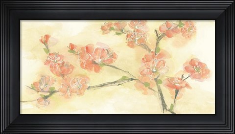 Framed Tinted Blossoms II Print