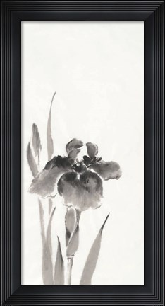 Framed Japanese Iris III Print