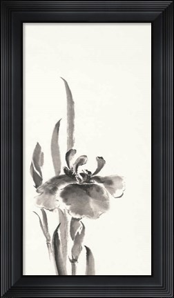 Framed Japanese Iris II Print