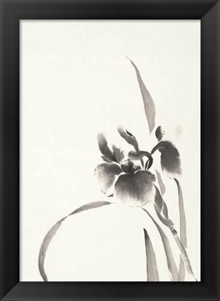 Framed Japanese Iris I Print