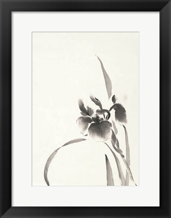 Framed Japanese Iris I Print