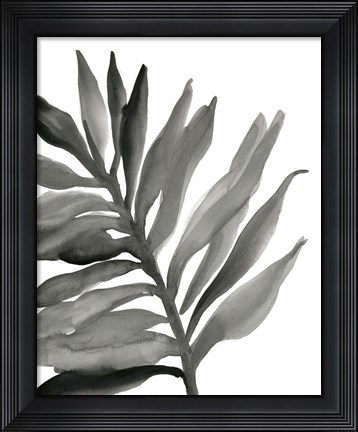 Framed Tropical Palm III BW Print
