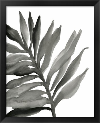 Framed Tropical Palm III BW Print