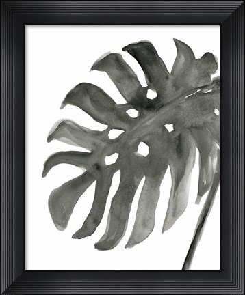 Framed Tropical Palm IV BW Print