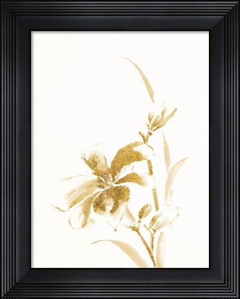 Framed Sumi Daylily IV Gold Print
