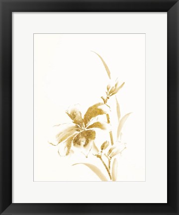 Framed Sumi Daylily IV Gold Print