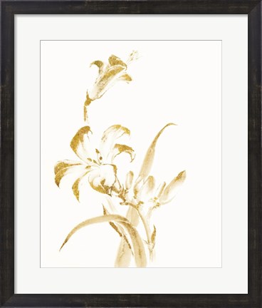 Framed Sumi Daylily II Gold Print