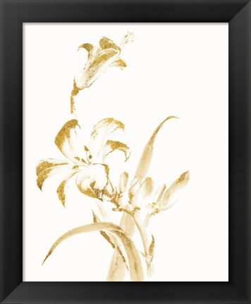 Framed Sumi Daylily II Gold Print