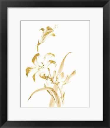 Framed Sumi Daylily II Gold Print