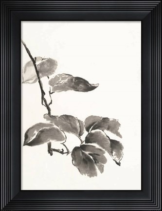 Framed Sumi Kiwi Print