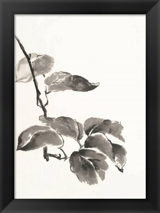 Framed Sumi Kiwi Print