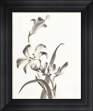 Framed Sumi Daylily II Print