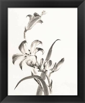 Framed Sumi Daylily II Print