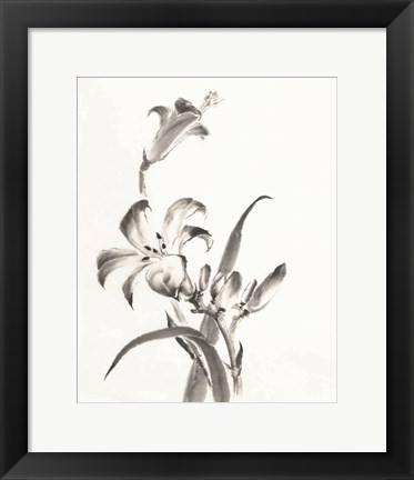 Framed Sumi Daylily II Print