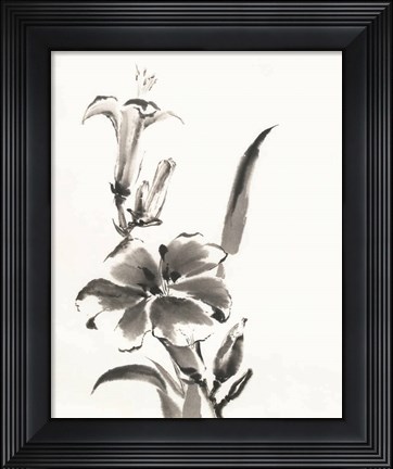Framed Sumi Daylily III Print