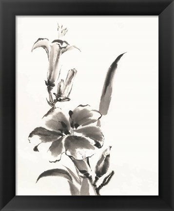 Framed Sumi Daylily III Print