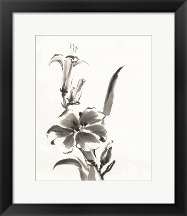 Framed Sumi Daylily III Print