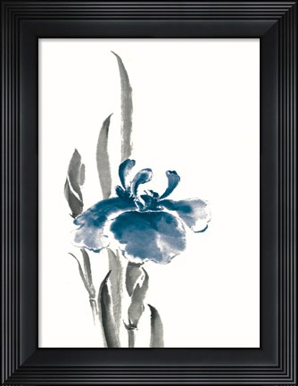 Framed Japanese Iris II Crop Indigo Print