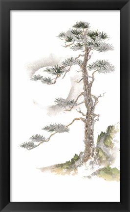 Framed Moon Pine on White Print