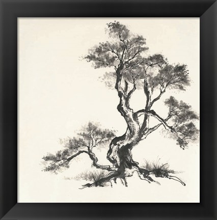 Framed Sumi Tree I Print