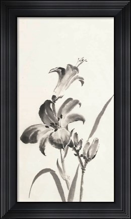 Framed Sumi Daylily I Print