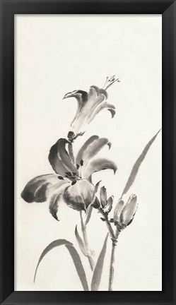 Framed Sumi Daylily I Print