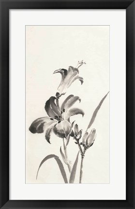 Framed Sumi Daylily I Print