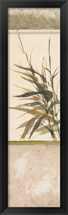 Framed Scrolled Textural Grass III Print