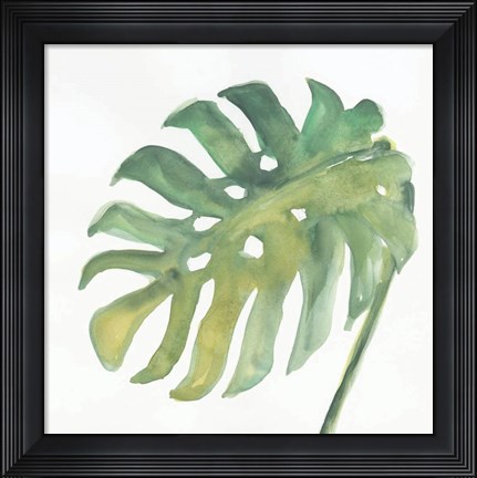 Framed Tropical Palm IV Print