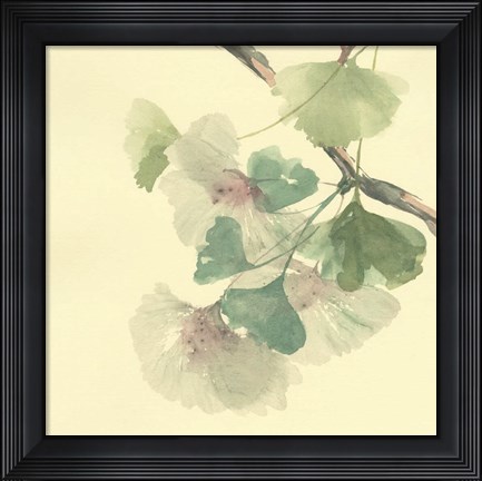 Framed Gingko Leaves II Print